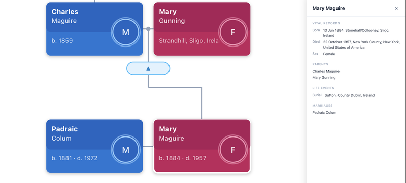 Viewing a tree diagram and details